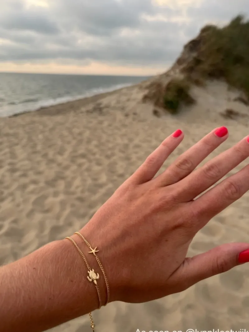 Finaste Armband met schildpad goudkleurig Fashion
