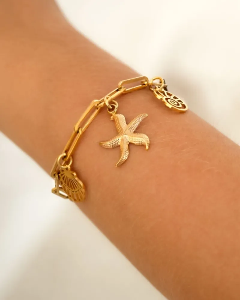 Finaste Bedelarmband zeester goudkleurig Best