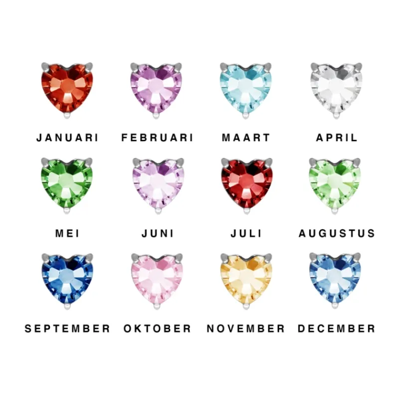 Finaste Birthstone heart oorbellen Discount