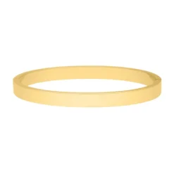Finaste Brede Bangle Goud Kleurig Outlet