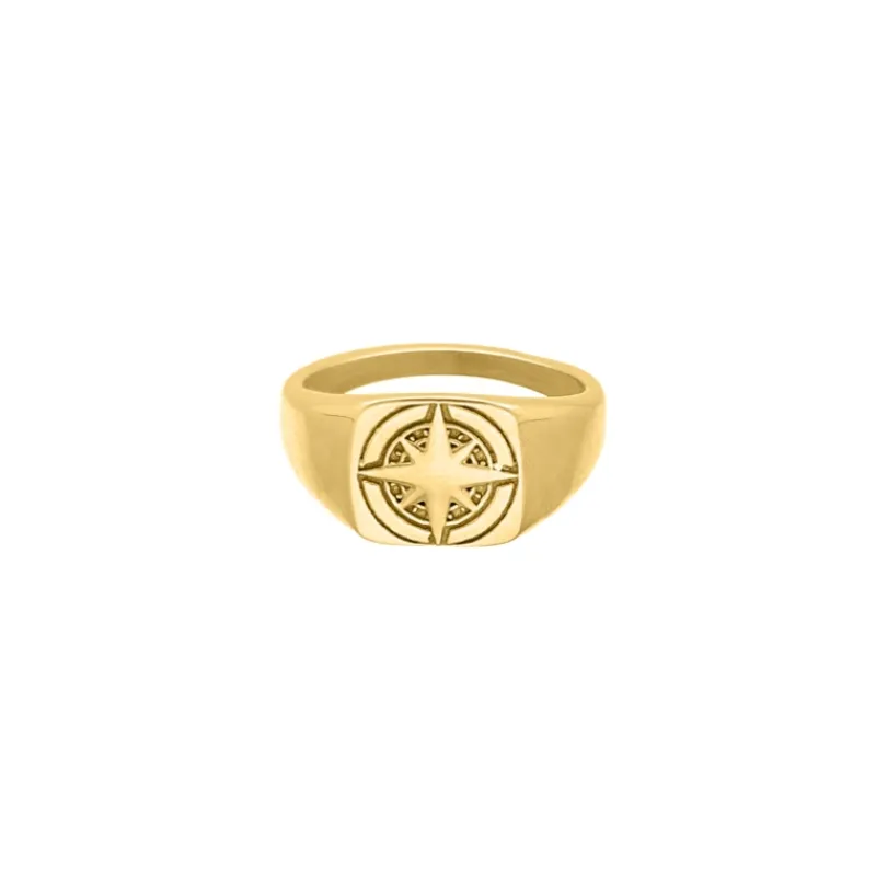 Finaste Compass zegelring goudkleurig Online