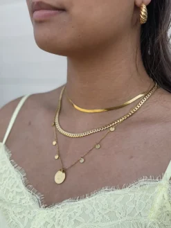Finaste Ketting platte chain goud kleurig Discount