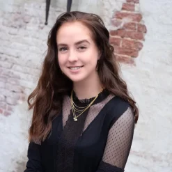 Finaste Minimalistische Fijne Ketting Goud Kleurig Hot
