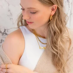 Finaste Musthave oorringen kleur goud Outlet