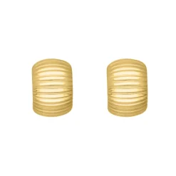 Finaste Oorbellen chunky striped goudkleurig Hot