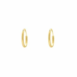 Finaste Oorringetjes Sterling Zilver 10 mm Verguld Discount