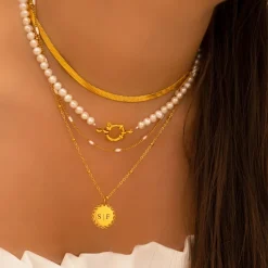 Finaste Platte Choker ketting gold plated Clearance