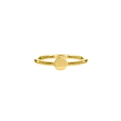 Finaste Ring met muntje goud kleurig Clearance