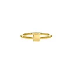 Finaste Ring met vierkantje goud kleurig Best