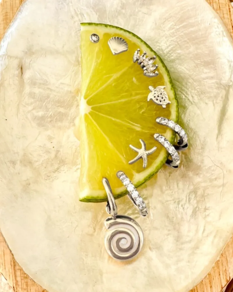 Finaste Stud oorbellen met steentje Clearance