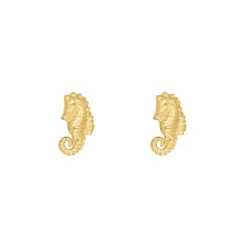 Finaste Stud oorbellen zeepaardje goudkleurig Outlet