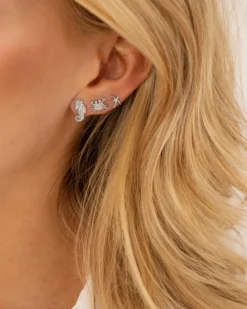 Finaste Stud oorbellen zeepaardje Outlet