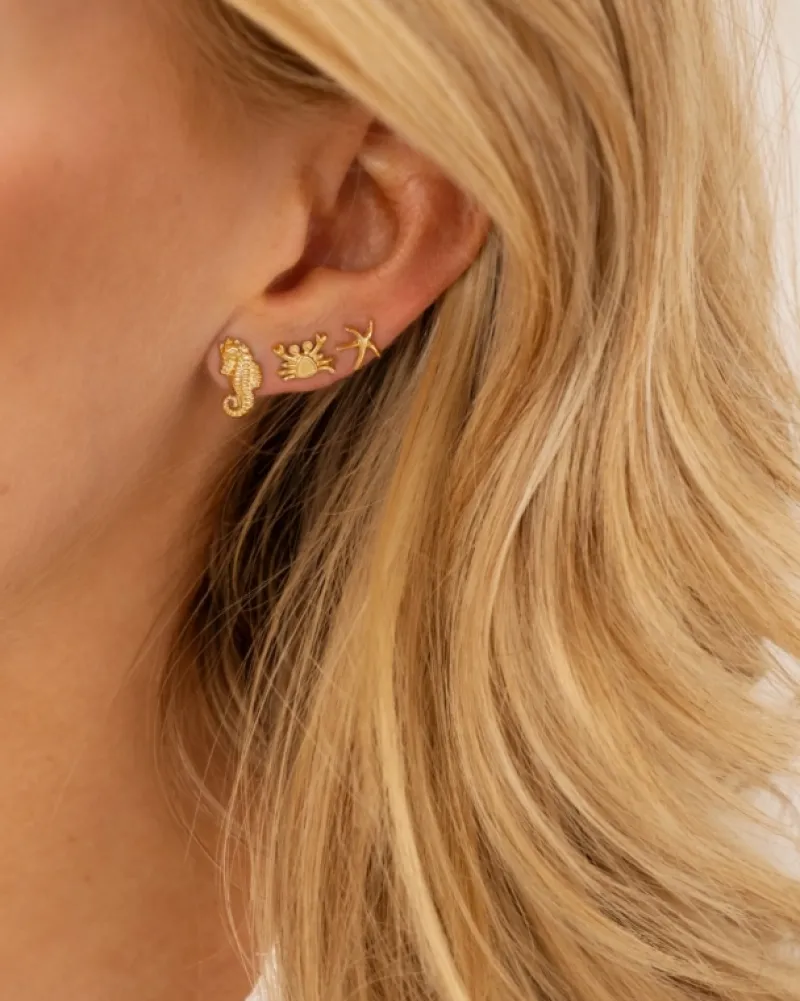 Finaste Stud oorbellen zeepaardje goudkleurig Outlet