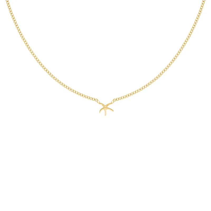 Finaste Zeester ketting goudkleurig Sale